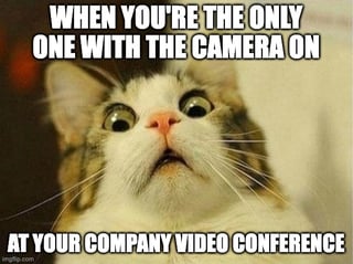 Surprised Cat in a video conference scared because they didn't realize their camera was on